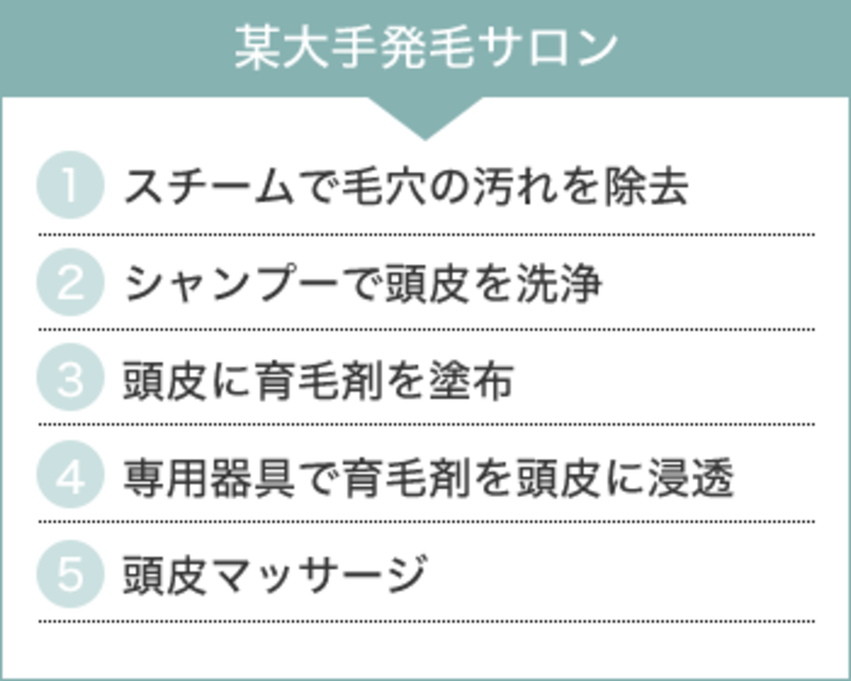 某大手発毛サロン 1、スチームで毛穴の汚れを除去 2、シャンプーで頭皮を洗浄 3、頭皮に育毛剤を塗布 4、専用器具で育毛剤を頭皮に浸透 5、頭皮マッサージ