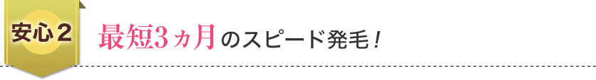 安心2、最短3カ月のスピード発毛