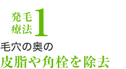 発毛療法1、毛穴の奥の皮脂や角栓を除去