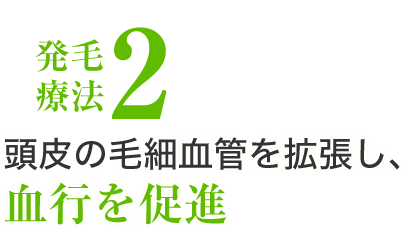 発毛療法2、頭皮の毛細血管を拡張し、血行を促進