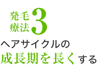 発毛療法3、ヘアサイクルの成長期を長くする