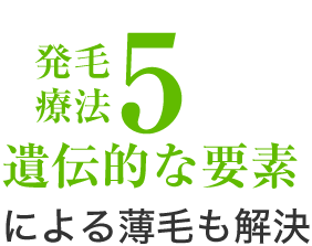 発毛療法5、遺伝的な要素による薄毛も解決