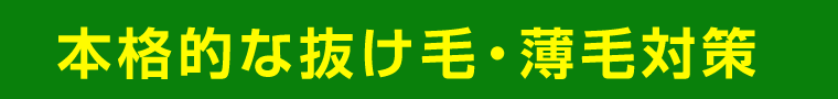 本格的な抜け毛・薄毛対策